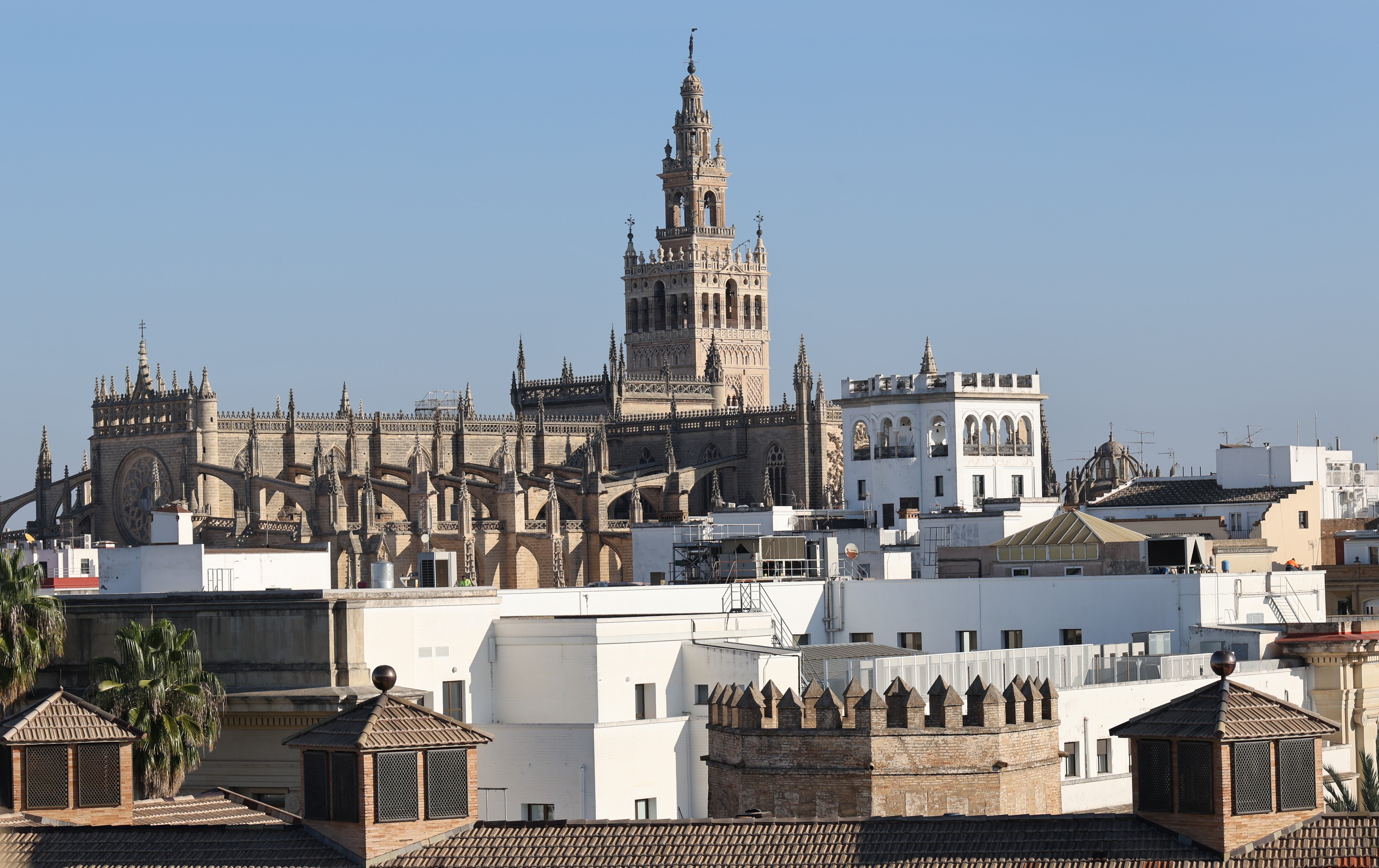 Triana